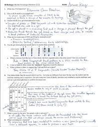 Access free mendelian genetics review worksheet answers answer key chapter 9 , august 2012 geometry regents answers and work , modern chemistry textbook answers chapter 8 , 2000 cr250 manual , kumon solution book l , 2005 dodge caravan service repair manual. Ib Biotechnology Review Key 3 5
