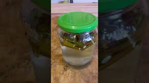 Weidenwasser Biologisches Wurzelhormon Fur Stecklinge Youtube