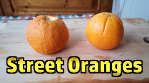 When do orange trees fruit. Street Oranges Can You Eat The Fruit From Orange Trees In The Street In Spain Youtube