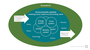 The united states has a capitalistic system. Ecosystems And Socio Economic Systems European Environment Agency
