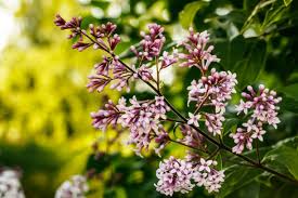 3,600+ Finland June Stock Photos, Pictures & Royalty-Free Images