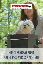 Der Fahrradkorb Fur Hunde Tipps Infos Und Anbieter Im Uberblick In 2020 Hund Fahrrad Hunde Hund Reisen