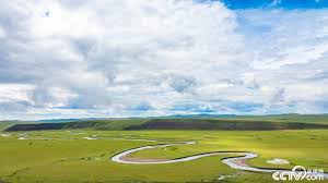 内蒙古呼伦贝尔：莫尔格勒河景区水清岸绿牛羊成群_新闻_央视网(cctv.com)