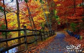 خلفيات طبيعيه روعه صور طبيعيه ساحره اروع صور الطبيعه 2020 Autumn Landscape Fall Landscape Photography Autumn Scenery