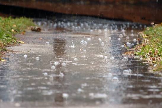 Cliff Mass Weather Blog: The Smell of Rain