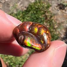 Image result for Fire Agate 2013 GX