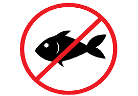 Alergia al pescado: consideraciones específicas | Familia y Salud