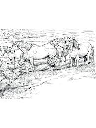 We have selected the best free horses coloring pages to print out and color. Pin On Reese Reynolds