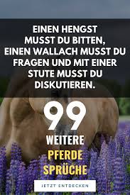 Pin Auf Pferdespruche