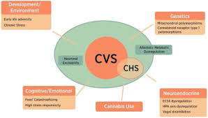 Image result for Chronic Functional Vomiting