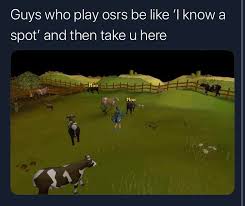 I hope everyone has been doing well. Guys Who Play Osrs Be Like Old School Runescape Dev Tracker Devtrackers Gg