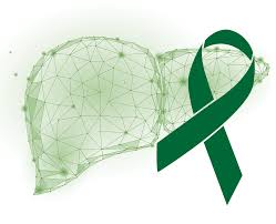 Cancer ribbons are simple loops of ribbon that people wear to show their support for people who have cancer or to spread awareness about the disease. Home October Liver Cancer Awareness Month