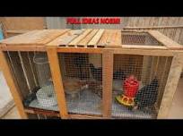 COMO HACER JAULA PARA POLLOS - Como hacer gallinero para gallinas - chicken  coop ideas