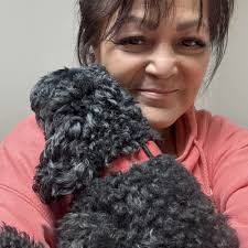 TOP 10 BEST Low Cost Pet Vaccinations near Papillion, NE