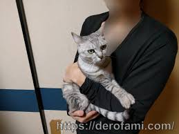 猫が嫌がる抱っこと好む抱き方 小さい頃から膝の上で温めてあげると慣れるのでオススメ ねこほう
