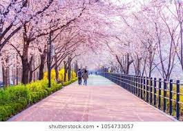 13 gambar pemandangan indah di korea 23 tempat wisata di korea selatan yang wajib dikunjungi download 50 di 2021 pemandangan korea selatan pemandangan yang indah. Seoul Images Stock Photos Vectors Pemandangan Kota Pemandangan Taman Indah