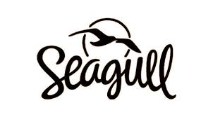 Martin & company or simply called 'martin' is one of the biggest names in the acoustic guitar industry. 11 Best Acoustic Guitar Brands In The World Guitariano Com