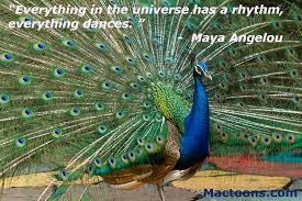 The most common peacock quote material is metal. Quotes About Love And Peacocks Quotesgram