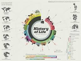 Business Insider On Twitter Timeline Infographic Design Timeline Design History Of Earth