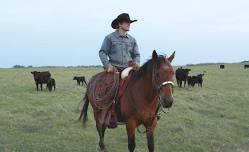 Day of the Cowboy