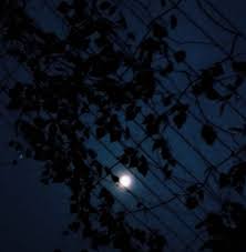 Black moon aesthetic wallpaper, these wallpapers are free download for pc, laptop, iphone, android phone and ipad desktop. Black Moon Home Facebook