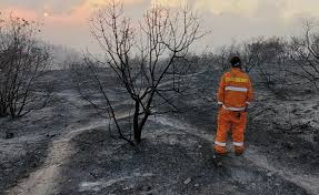השיטה מחלקת את מפת התחבורה הציבורית לארבעה מטרופולינים: Zglpmqtdmocdim