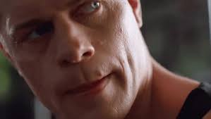 cody rhodes x reader