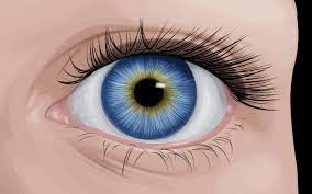 Eye Pictures Latest Hd Wallpapers Hd Wallpaper