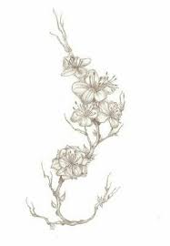 Fleurs Noir Et Blanc Fleur De Cerisier Dessin Tatouage Fleur De Cerisier Tatouage Cerisier