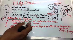 After a cancer diagnosis, staging provides important information about the extent of cancer in the body and anticipated response to treatment. Ovarian Cancer 2 Of 3 Figo Staging Youtube