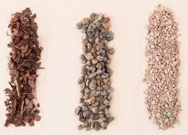 Check spelling or type a new query. Breaking Down Our 111 Succulent Cactus Gritty Mix Bonsai Jack C
