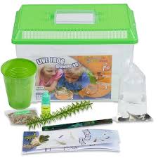 Thoughtful, customizable, and convenient too. Tadpole To Frog Kit Shipped With Live Tadpoles Nature Gift Store