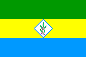 The blue represents the sky and sea. Colonial Flags Of Saint Vincent And The Grenadines