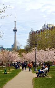The western boundary of the park is crawford street, several hundred feet before crawford intersects with dundas st. 214 Trinity Bellwoods Park 1 I Ve Been Bit Travel Blog