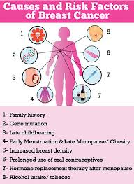 Menopause can happen in your 40s or 50s, but the average age is 51 in the united states. Is Breast Cancer Preventable News Features Daily Mirror