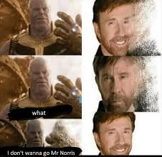 15 Thanos Memes That Ll Make You Feel Perfectly Balanced Chuck Norris Jokes Chuck Norris Chuck Norris Memes