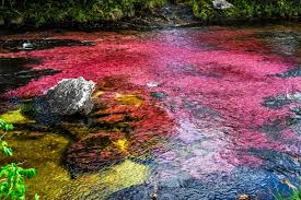 We did not find results for: Tour Cano Cristales My House Tours Cali