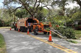 Tree Trimming Company Fort Lauderdale Florida Usa Asplundh Tree Expert Co Sponsored Ad Paid Compa Fort Lauderdale Florida Tree Trimming Lauderdale