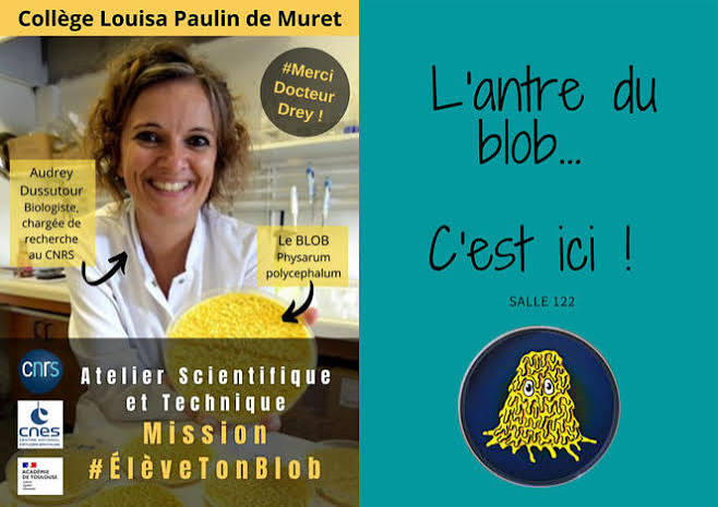 The blob creeps into the homes of the French | CNRS News