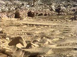 The long eyelashes keep sand out of the camel's eyes. Arabia Sand Sea And Sky Eye Of The Camel Youtube