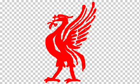 Football club liverpool liverpool fc 4 logo liverpool fc 4 logo black and white liverpool fc 4 logo png liverpool fc 4 logo transparent logos that start with l soccer sport uk united kingdom. Liverpool F C Fa Cup Premier League Football Liverbird Liverpool Heart Logo Galliformes Png Klipartz