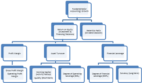 Chapter 3 Financial Statement Analysis Business Ratios Financial Statement Analysis Financial Analysis Accounting And Finance