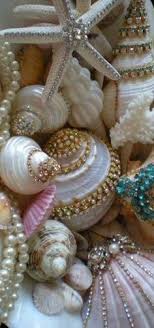 Guide includes takeshi's location, conch locations, takashi's chests, chest respawn, where to find conches & chests rewards. 150 Sea Shell Ornaments Ideas Shell Ornaments Seashell Crafts Beach Crafts