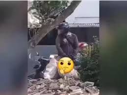 Video terkini dan berita terbaru seputar indonesia dan mancanegara terkini, menyajikan informasi terbaru seputar politik, olahraga, otomotif, dan viral, video amatir memperlihatkan seorang remaja naik ke papan reklame. Polisi Cari Pemotor Pamer Alat Kelamin Yang Teror Warga Bandung Berita Riau Terkini Online Spirit Riau Update