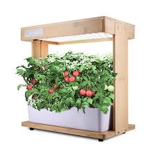 Ecoo Grower Igs 10 Click Grow Smart Garden 3 Indoor Herb Garden Includes Plant Pods 7 Plant Sites Spots Hydroponic System Growing Kit Indoor Garden Walma In 2020 Grow Lights