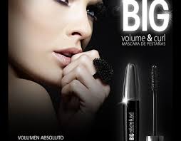 Petrizzio Projects :: Photos, videos, logos, illustrations and branding ::  Behance