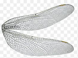 I think this dragonfly brooch is beautiful. Dragonfly Png Images Pngegg
