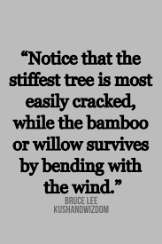 Bruce Lee Quote Inspiring Daily Inspiration Quotes Inspirational Quotes Bruce Lee Quotes