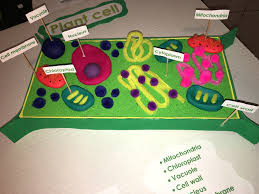 Drag and drop file or browse. How To Make A Plant Cell Model With A Shoebox