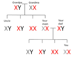 Understanding Genetics